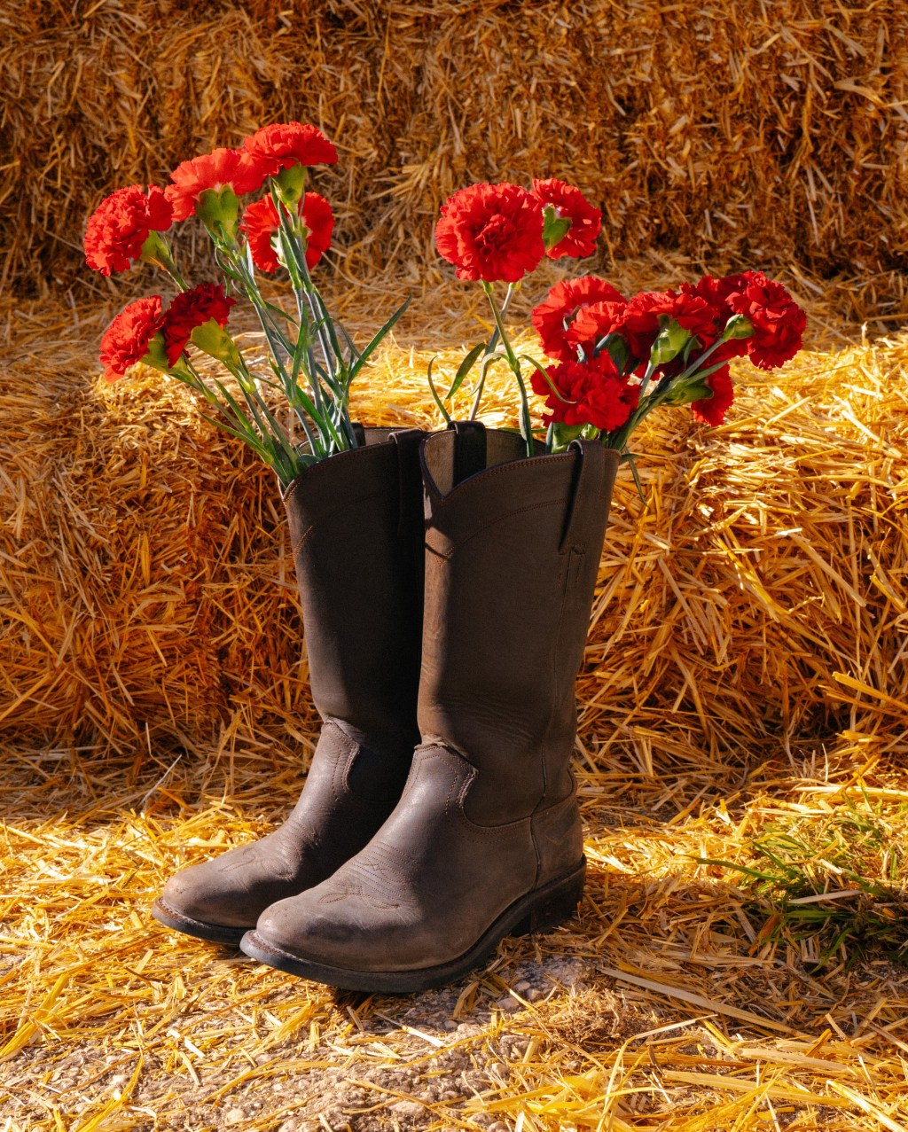 Forme di Massa d’Albe (AQ), al via la IV Edizione del Garofano Rosso Film&nbsp;Festival