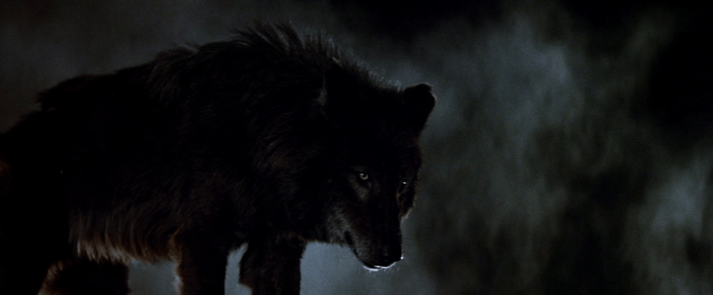 Wolfen. La belva immortale (1981): l’orrore suggerito e la foresta urbana per un Halloween&nbsp;d’autore